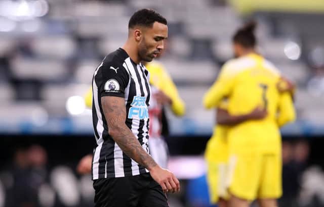 Callum Wilson.