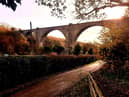 The Victoria Viaduct should be a great emblem of County Durham.