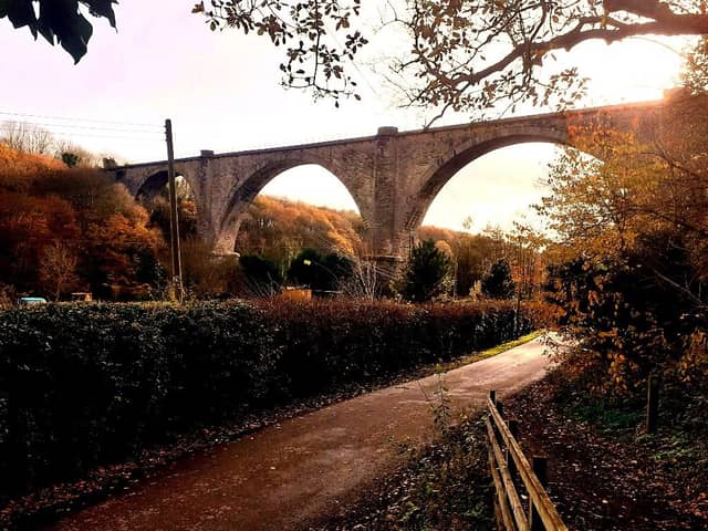 The Victoria Viaduct should be a great emblem of County Durham.