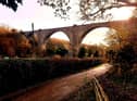 The Victoria Viaduct should be a great emblem of County Durham.
