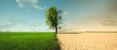 Climate change from drought to green growth. Photo: Adobe