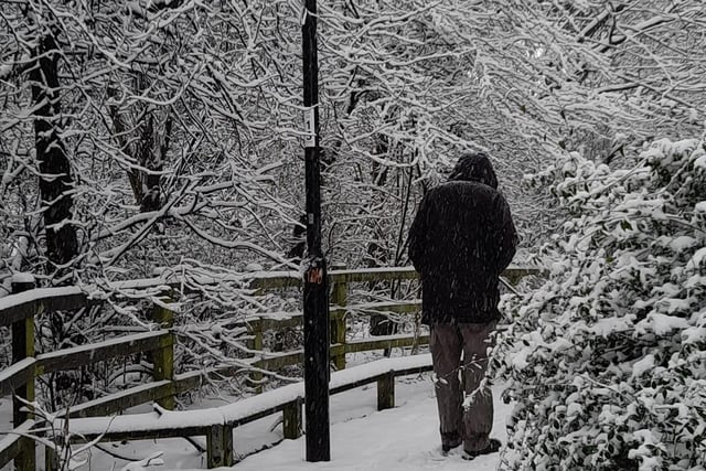 Walking in a winter wonderland. By Caroline Wibberley.