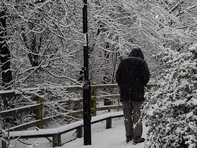 Walking in a winter wonderland. By Caroline Wibberley.