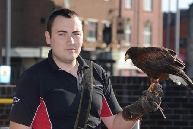 Handler Declan Gibbons with Ronnie the hawk.