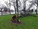 A picture showing storm aftermath in South Tyneside.