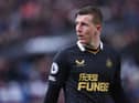 Matt Targett is on loan at Newcastle United.