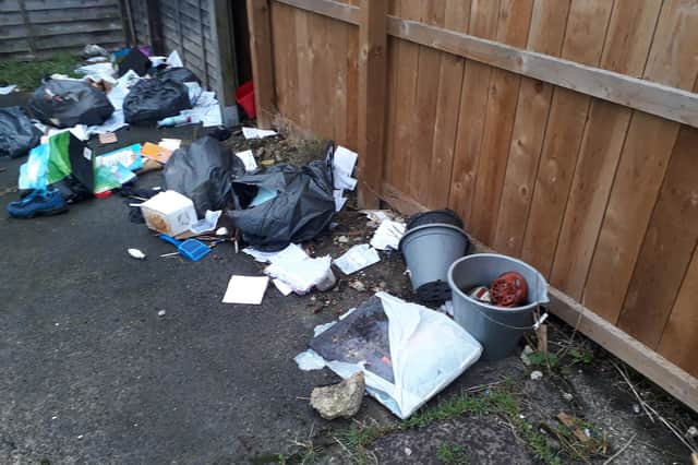 Samantha Urwin was fined more than £1,100 for flytipping at Ethel Terrace in South Shields.