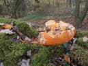 The Woodland Trust has issued an urgent plea for families not to endanger wildlife by dumping pumpkins in woodland.