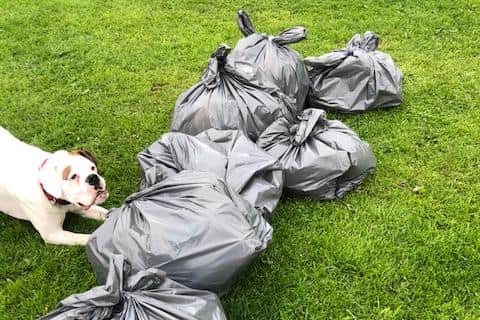 Dog walkers have collected dozens of bags of rubbish left behind in the warm weather.