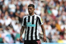 Newcastle United host Bournemouth this weekend hoping Bruno Guimaraes will be fit to start (Photo by Jan Kruger/Getty Images)