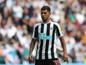 Newcastle United host Bournemouth this weekend hoping Bruno Guimaraes will be fit to start (Photo by Jan Kruger/Getty Images)