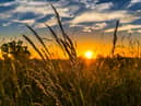There are concerns for the environment after a number of policy announcments.