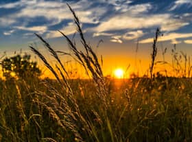 There are concerns for the environment after a number of policy announcments.