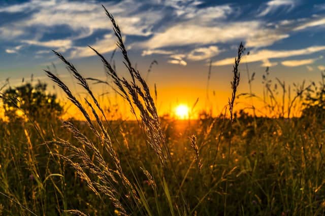 There are concerns for the environment after a number of policy announcments.