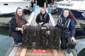 Members of the Stronger Shores team add oysters to one of the Wild Oyster project's North east farms