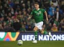 Newcastle United's Jeff Hendrick has given an update on his international career with the Republic of Ireland  (Photo by Mike Hewitt/Getty Images).