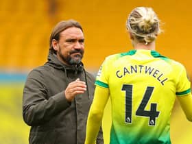 Norwich City's German head coach Daniel Farke (L) commiserates Norwich City's English midfielder Todd Cantwell after the English Premier League football match between Norwich City and Brighton and Hove Albion at Carrow Road in Norwich, eastern England on July 4, 2020. (Photo by RICHARD HEATHCOTE/POOL/AFP via Getty Images)