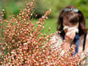 Hay-fever or COVID-19: Key differences you need to know as pollen season begins