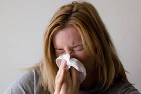 High levels of flu are contributing to an increase in hospitalisations, (Pic: Mojpe/PIxabay)