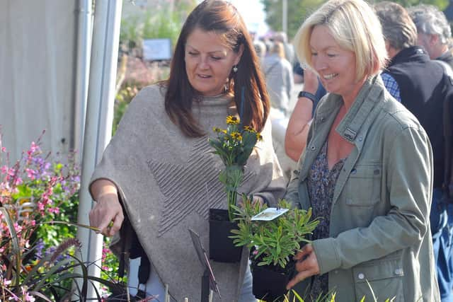 WI members from across our area will be at the Harrogate Flower Show on September 19.