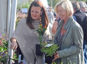 WI members from across our area will be at the Harrogate Flower Show on September 19.