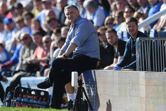 Tony Mowbray is Sunderland's new head coach