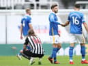Brighton's English midfielder Adam Lallana (C) and Brighton's Iranian midfielder Alireza Jahanbakhsh (R) react after winning the English Premier League football match between Newcastle United and Brighton and Hove Albion at St James' Park in Newcastle upon Tyne, north-east England on September 20, 2020.