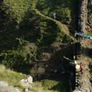 Work begins in the removal of the felled Sycamore Gap tree, on Hadrian's Wall in Northumberland