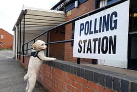 Embarrassingly, this lad is showing more interest in local democracy than the majority of humans. Picture by Stu Norton.