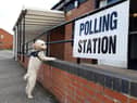 Embarrassingly, this lad is showing more interest in local democracy than the majority of humans. Picture by Stu Norton.