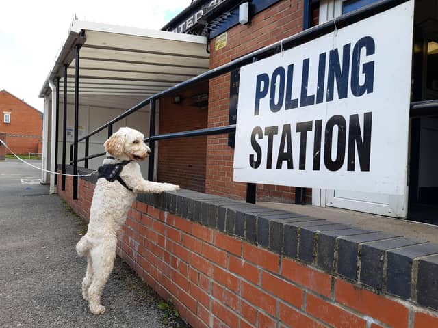 Embarrassingly, this lad is showing more interest in local democracy than the majority of humans. Picture by Stu Norton.