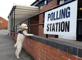 Embarrassingly, this lad is showing more interest in local democracy than the majority of humans. Picture by Stu Norton.