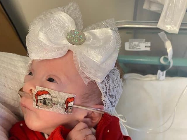 Eight-week-old Sophia Rose. Picture: Emma Carter