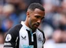 Callum Wilson.
