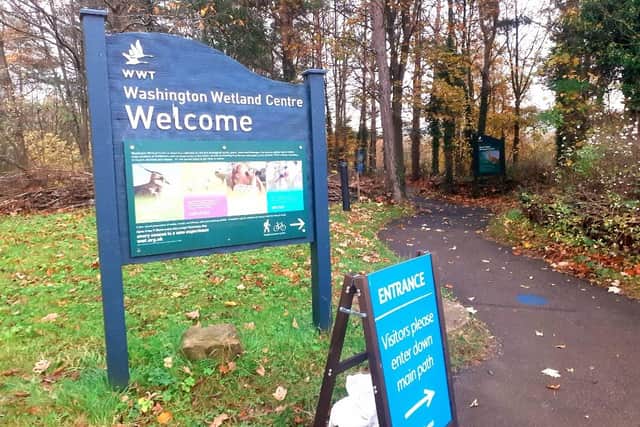 Washington Wetland Centre on Wearside plans to re-open on  Monday, April 12. JPI picture.