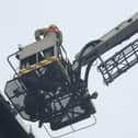 Firefighters free the trapped seagull