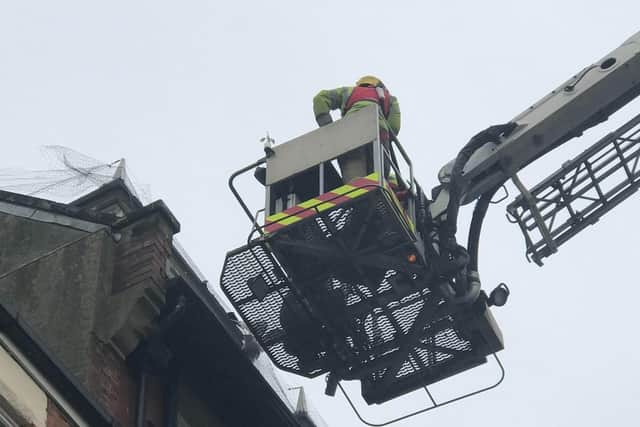 Firefighters free the trapped seagull