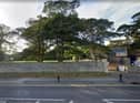 The North East Warriors will begin their season at Whitburn Cricket Club.