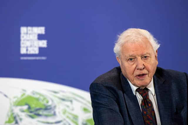 Top inspirational figure tackling climate change, Sir David Attenborough (photo: Getty Images)