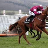 Samcro is the Racing Post's pick for Sunderland fans