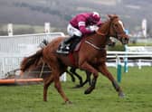 Samcro is the Racing Post's pick for Sunderland fans