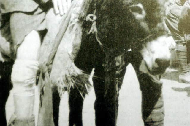 John Simpson Kirkpatrick with a wounded soldier.