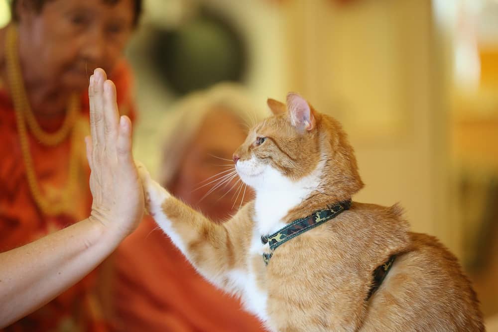 A high five for genuinely funny social media posts.