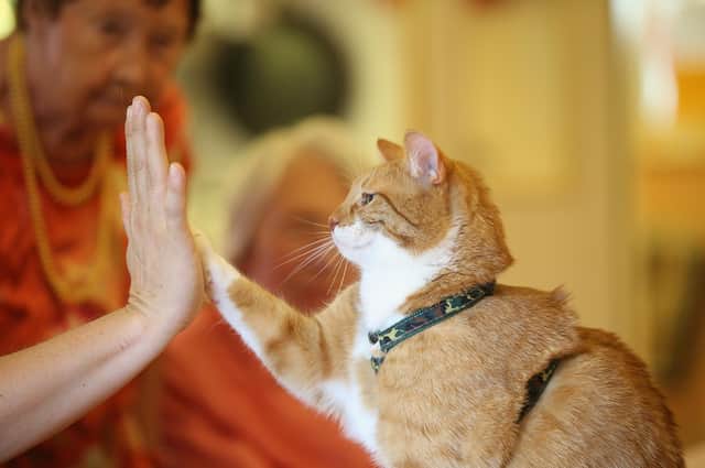 A high five for genuinely funny social media posts.