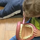 A Nurserytime youngster brushing up on dental care lessons.