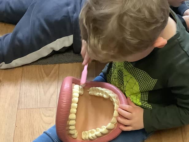 A Nurserytime youngster brushing up on dental care lessons.