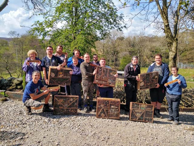 The team with their bug hotels