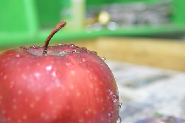 Nekta Food and Juice Bar, in Hebburn, is offering a free packed lunch (sandwich, crisps, fruit and a juice) to all children up to the age of 16 from Tuesday October 27 to Saturday October 31. Call or message to book time slot.