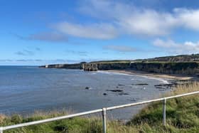 The rescue happened at Lizard Point, south of Marsden.