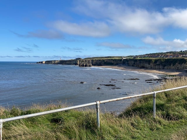 The rescue happened at Lizard Point, south of Marsden.